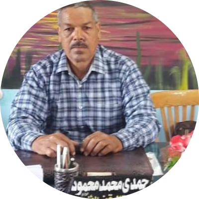 حمدى محمد محمود 