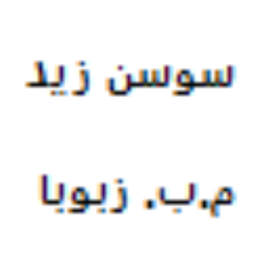 سوسن جمال فريد زيد