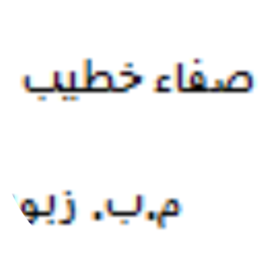 صفية حسن عبد الله خطيب