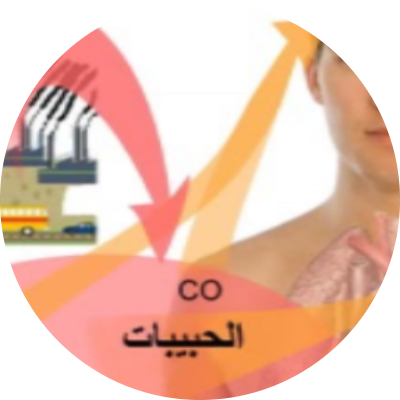 غالية حافظ محمد الفقيه