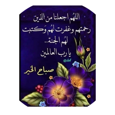 وليد حامد عبد المقصود العاصي