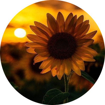 ماجدة علي عباس