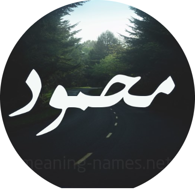 محمود محمد محمد داود