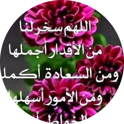 هالة طة حسن فرج