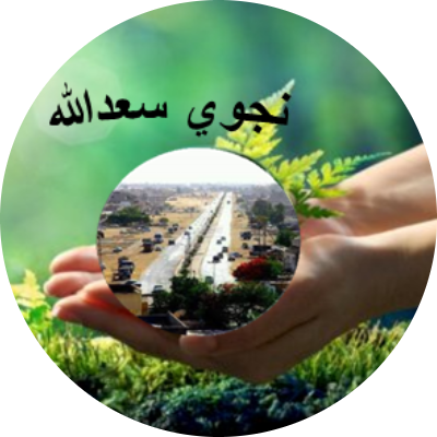 نجوي سعدالله بركه