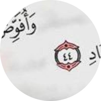 ولاء محمد هاشم قاسم