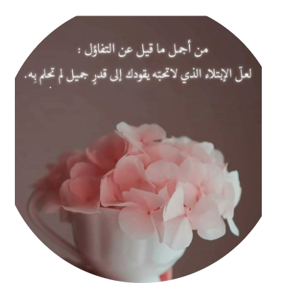 عبير فوزي مهيزع