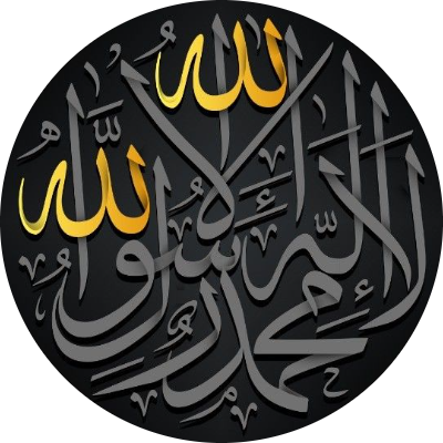 عزه عبد الفتاح ابو العلا قابيل