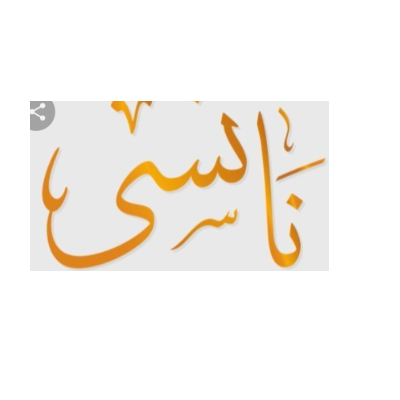 نانسي يعقوب البكري 