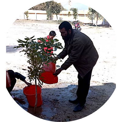 عمر سيد سليم احمد
