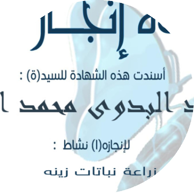 احمد البدوى محمد احمد