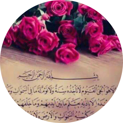 هبه علي ابراهيم يونس 